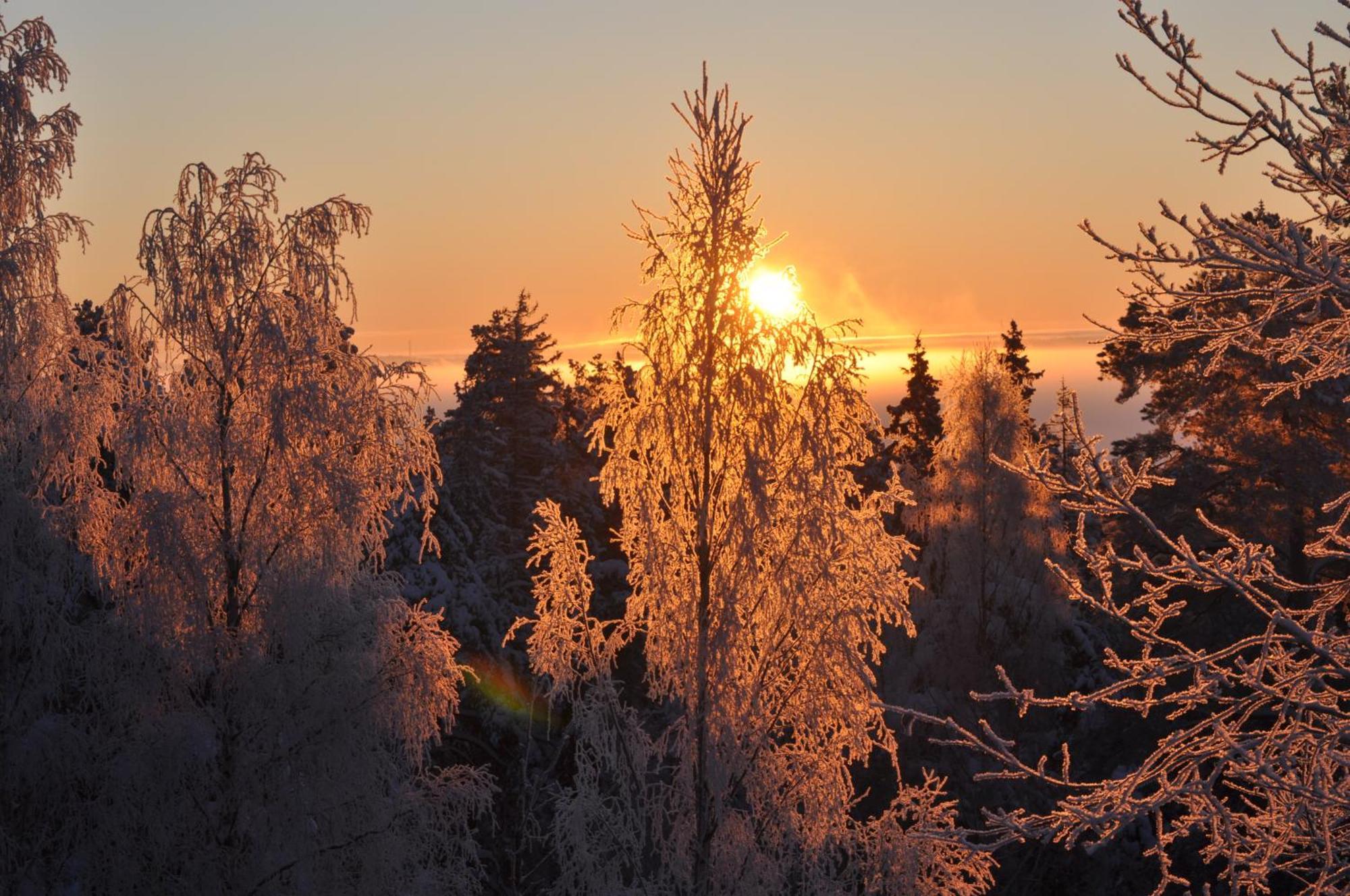 Vaihmalan Hovi Lempaala Exterior foto